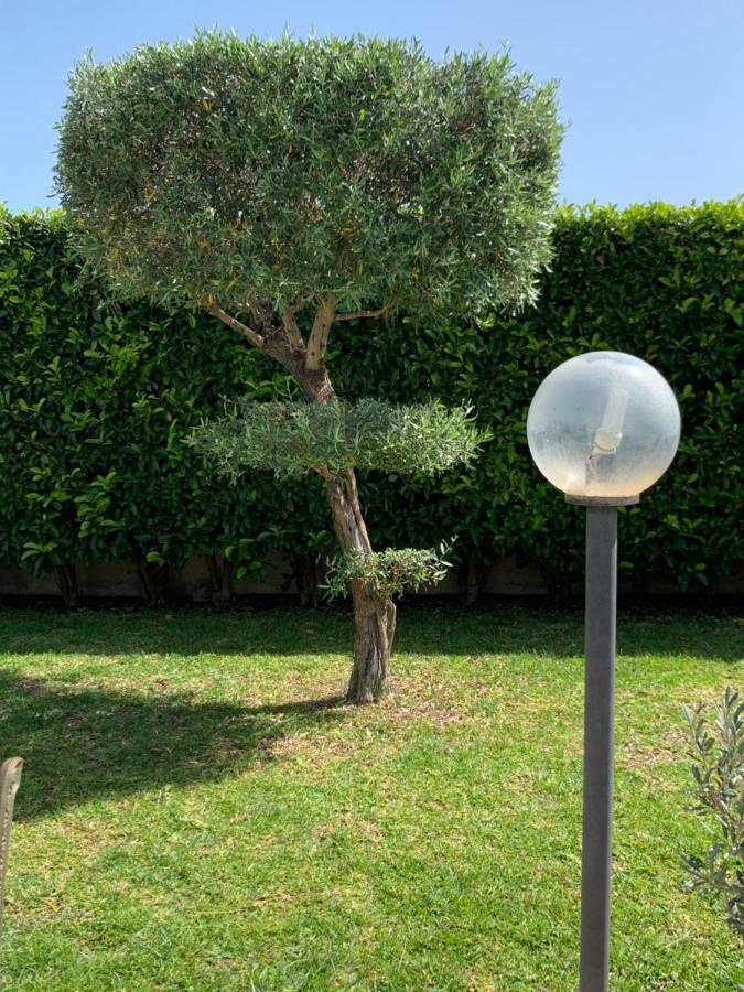 B&B Vittoria House Carlentini Dış mekan fotoğraf